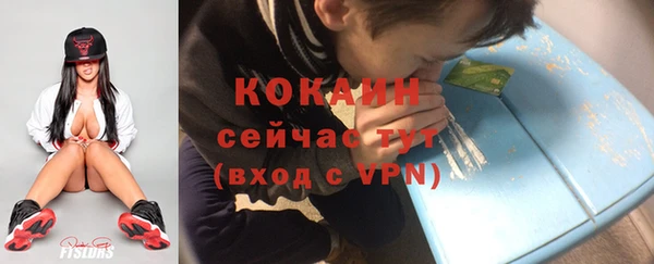 дживик Лагань
