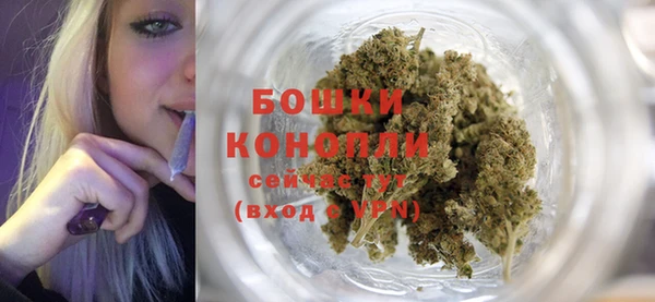 сатива Ладушкин